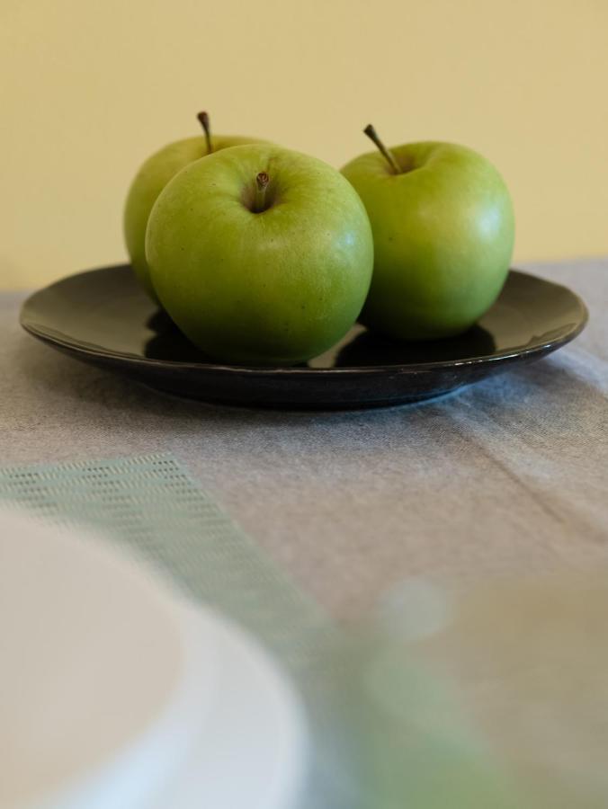 Green Apple Apartment Subotica Zewnętrze zdjęcie